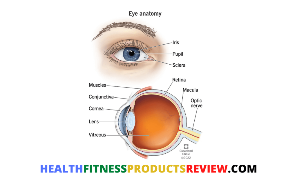 Vision Formula Review Best Discount Offer