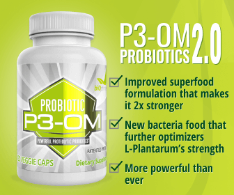 p3om version 3